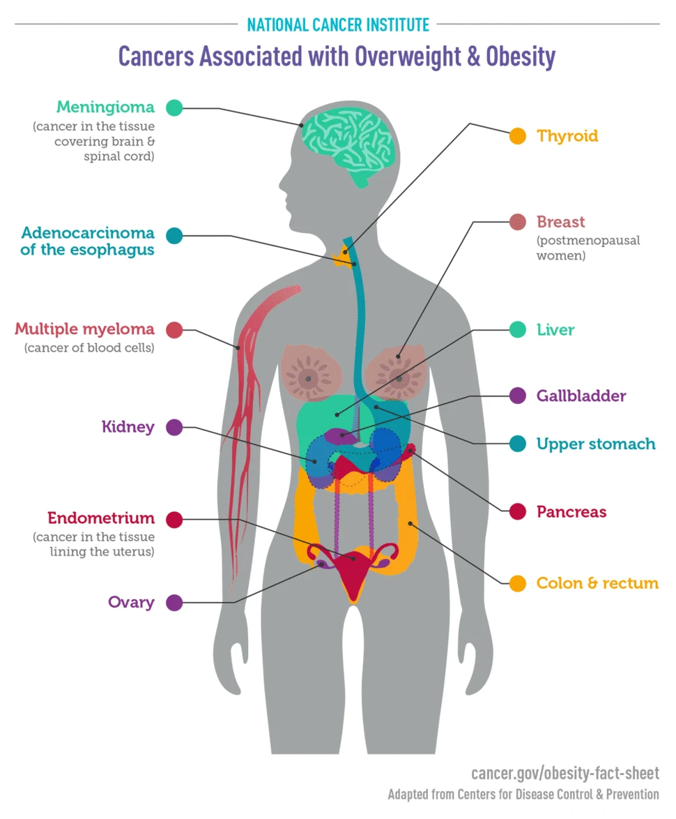 Types of cancer associated with Obesity and Overweight | Dr. Luis A. Betances, Bariatric Surgeon, Santo Domingo